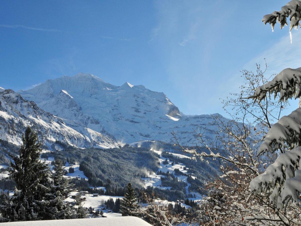 Apartment Sulegg By Interhome Wengen Eksteriør billede
